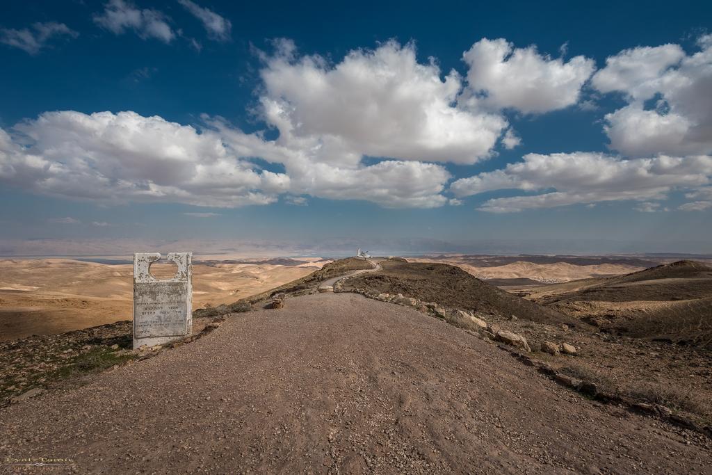Desert Picture Arad Luaran gambar