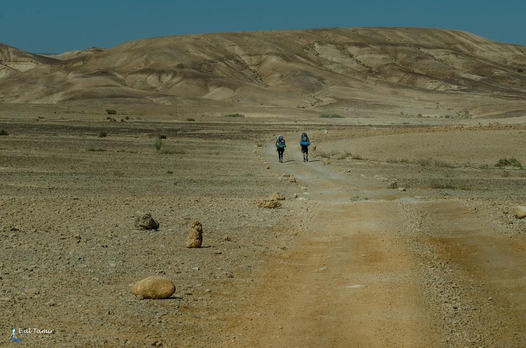 Desert Picture Arad Luaran gambar