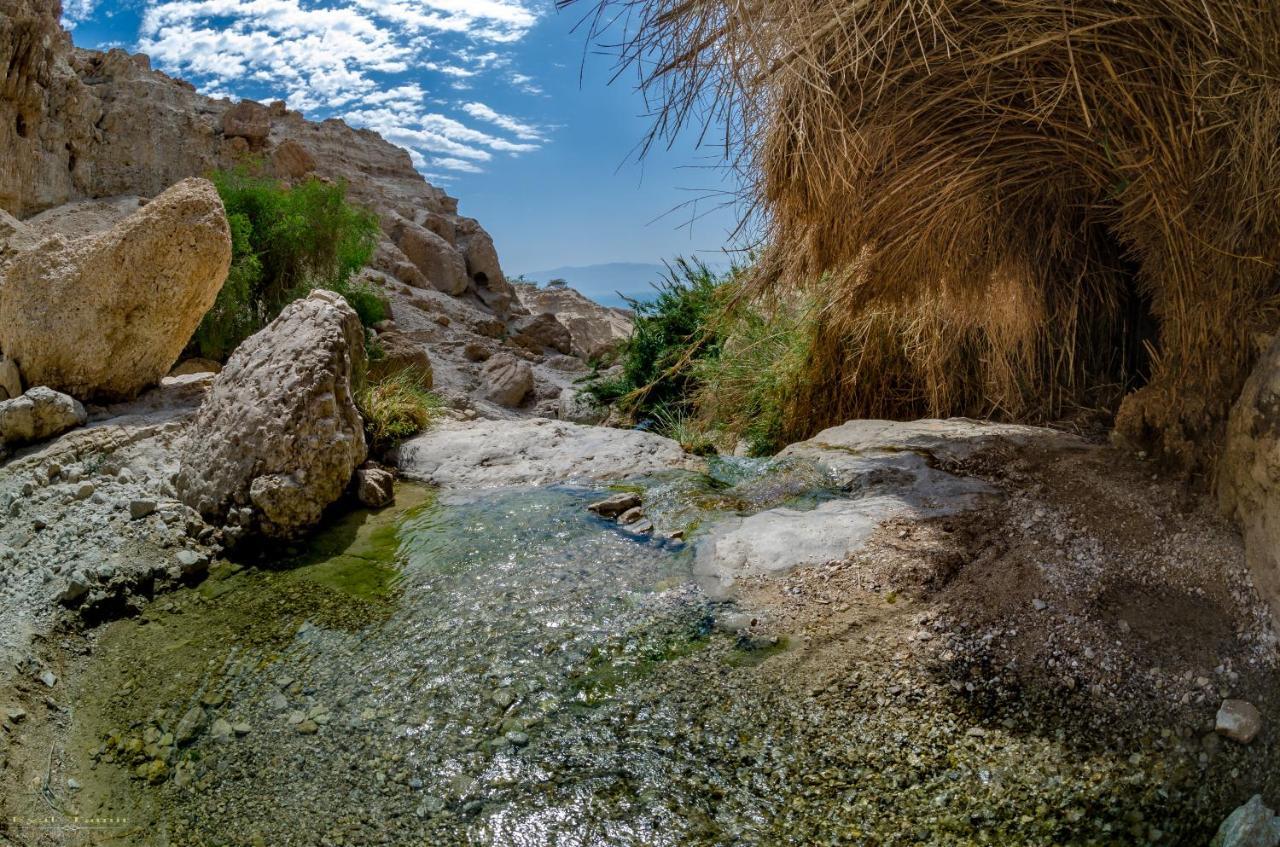 Desert Picture Arad Luaran gambar