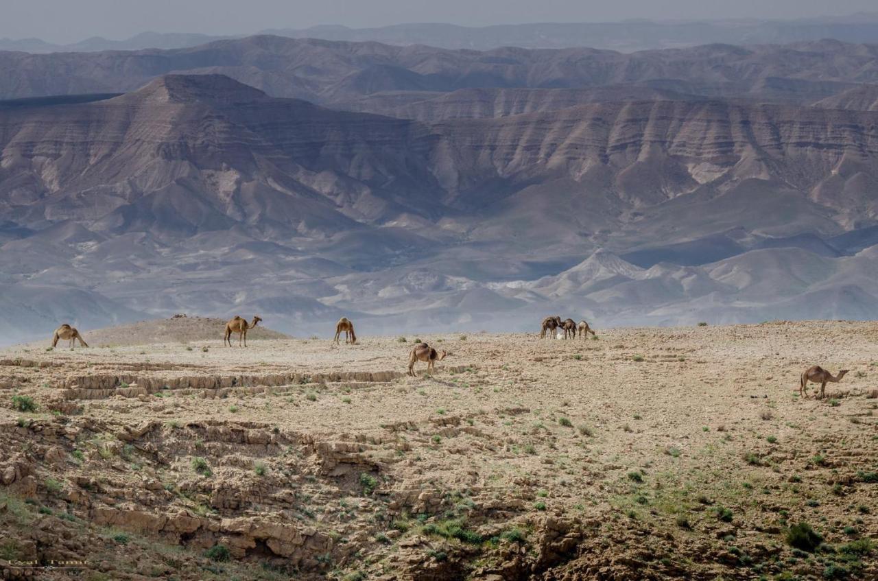 Desert Picture Arad Luaran gambar