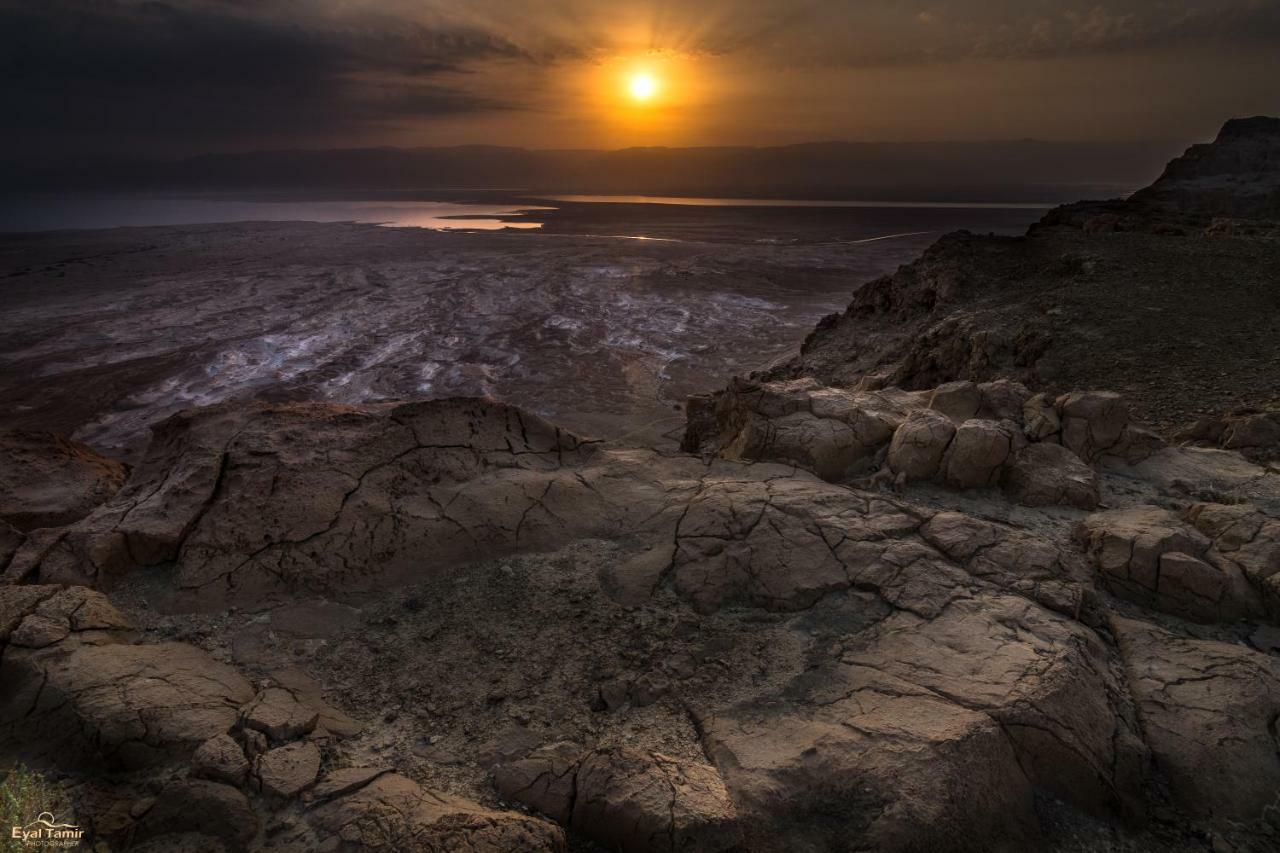 Desert Picture Arad Luaran gambar
