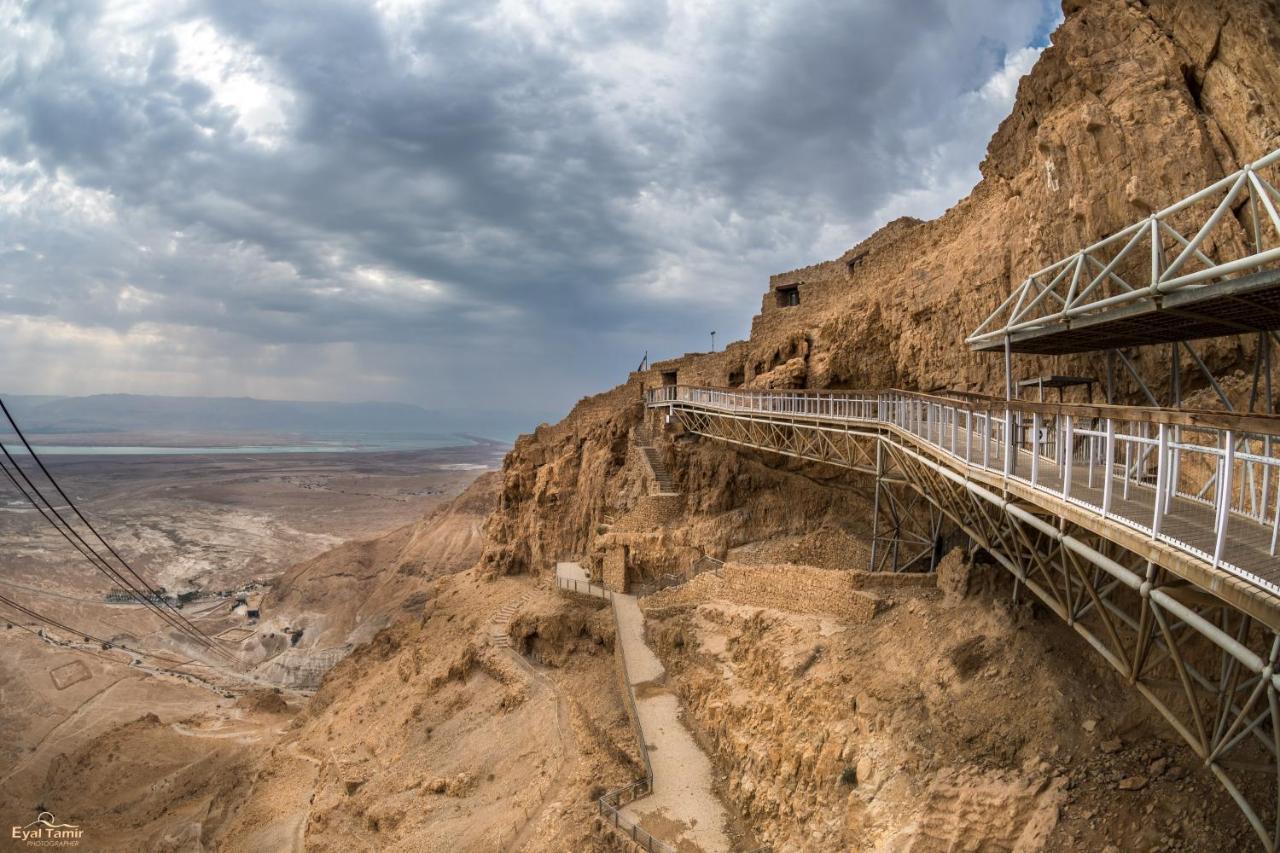 Desert Picture Arad Luaran gambar
